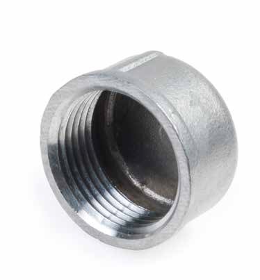 RVS 316 eindkap bi.dr. nr.301