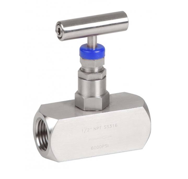 Genebre (2225) RVS 316 naaldafsluiter met 2x bi.dr. 400 bar