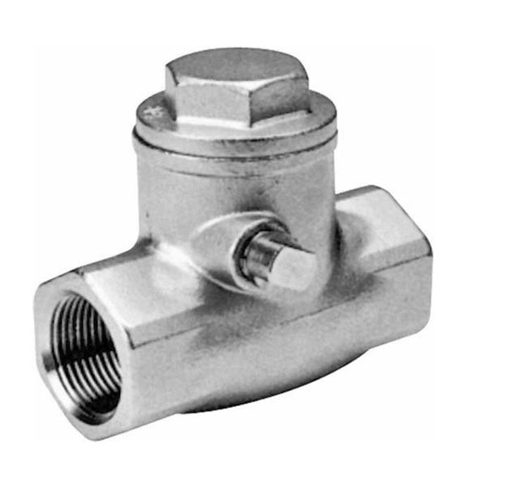 Genebre (2430) RVS 316 terugslagklep 2x bi.dr.