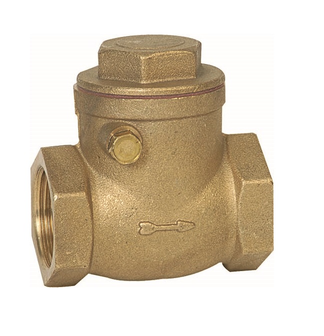 Genebre (3180) Messing terugslagklep horizontaal 2x bi.dr.