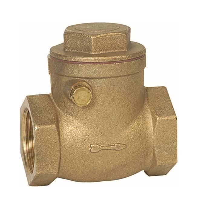 Genebre (3180) Messing terugslagklep horizontaal 2x bi.dr.