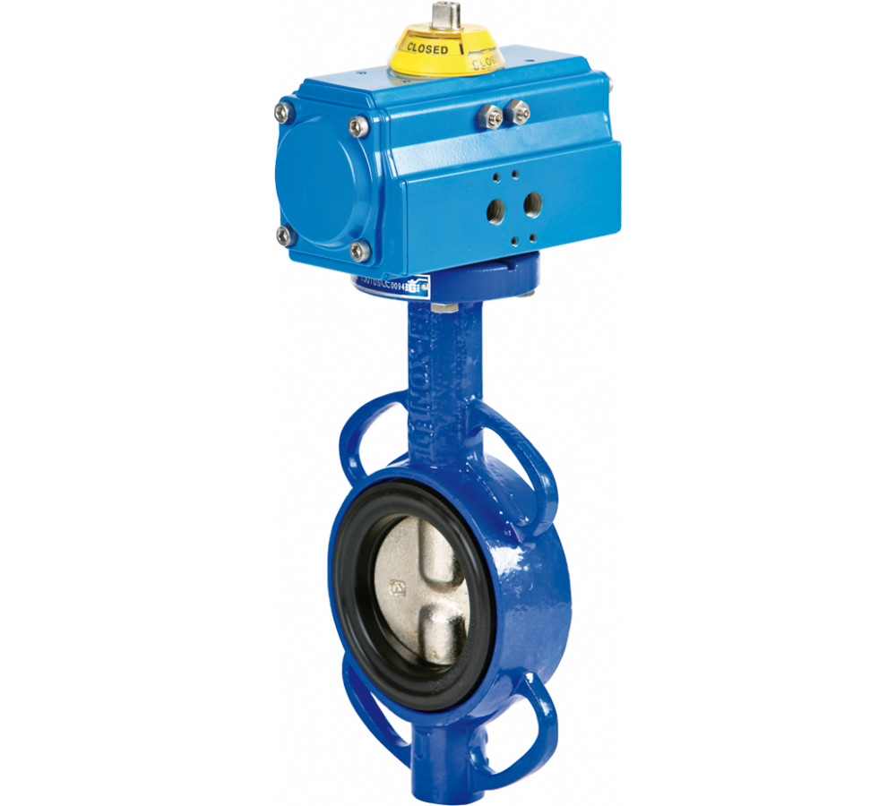 Genebre (5119) Gietijzeren vlinderklep (2109) + actuator pneumatisch EPDM