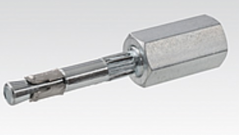 Spijkeranker verzinkt