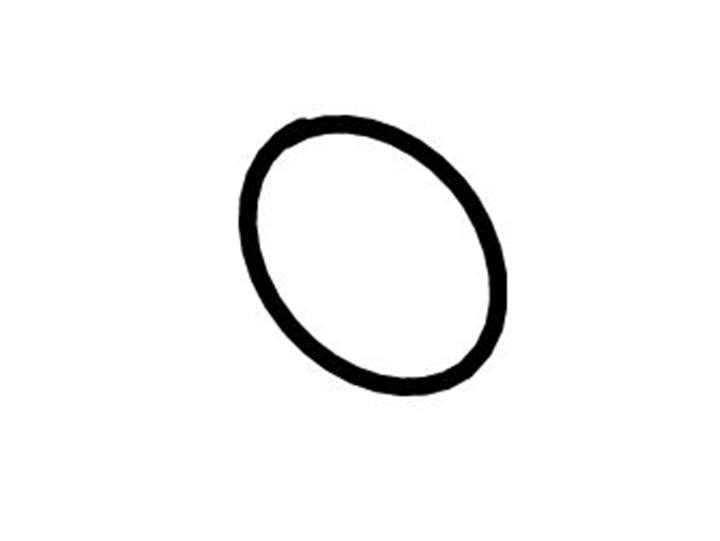 TECE reserveonderdeel O-ring voor veerhouder douchekop